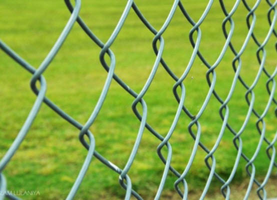 Chain Link